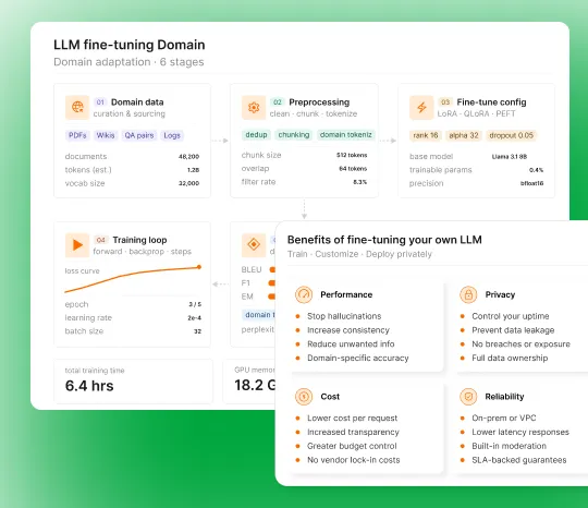 LLM Fine-Tuning on Your Domain